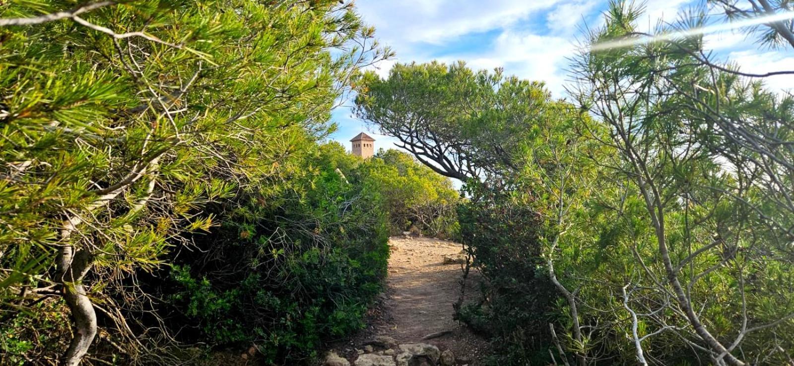 Villa Oliver House Tarragona